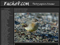 Claude Ruchet - Photographies d'oiseaux